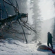 Image for article titled The Revenant reimagines the look of the Western by squeezing the wild frontier